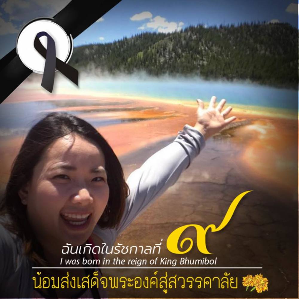 Meet your Posher, Janoops